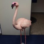 Flamingo Tierdummie SFX