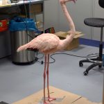 Flamingo Tierdummy SFX