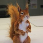 Bewegliche Eichhörnchen Dummie SFX Puppe Film