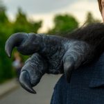 Monster Klaue Horror SFX Spezialeffekte movieSFX Creature Hand Claw
