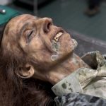 SFX Dummie leicht Mumifiziert mit Schimmel Silikon Filmeffekte Kino TV Spezialeffekte Dummy