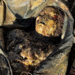 Wasserleiche Dummie Puppe SFX Silikon Kriminalfilm Kino Spezialeffekte Maskenbild wie echt wasserfest movieSFX