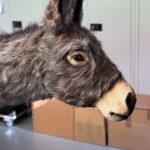 Eselkopf SFX Esel Dummie Film Tier Animal Replica Lebensgroß Kino TV Film Theater movieSFX